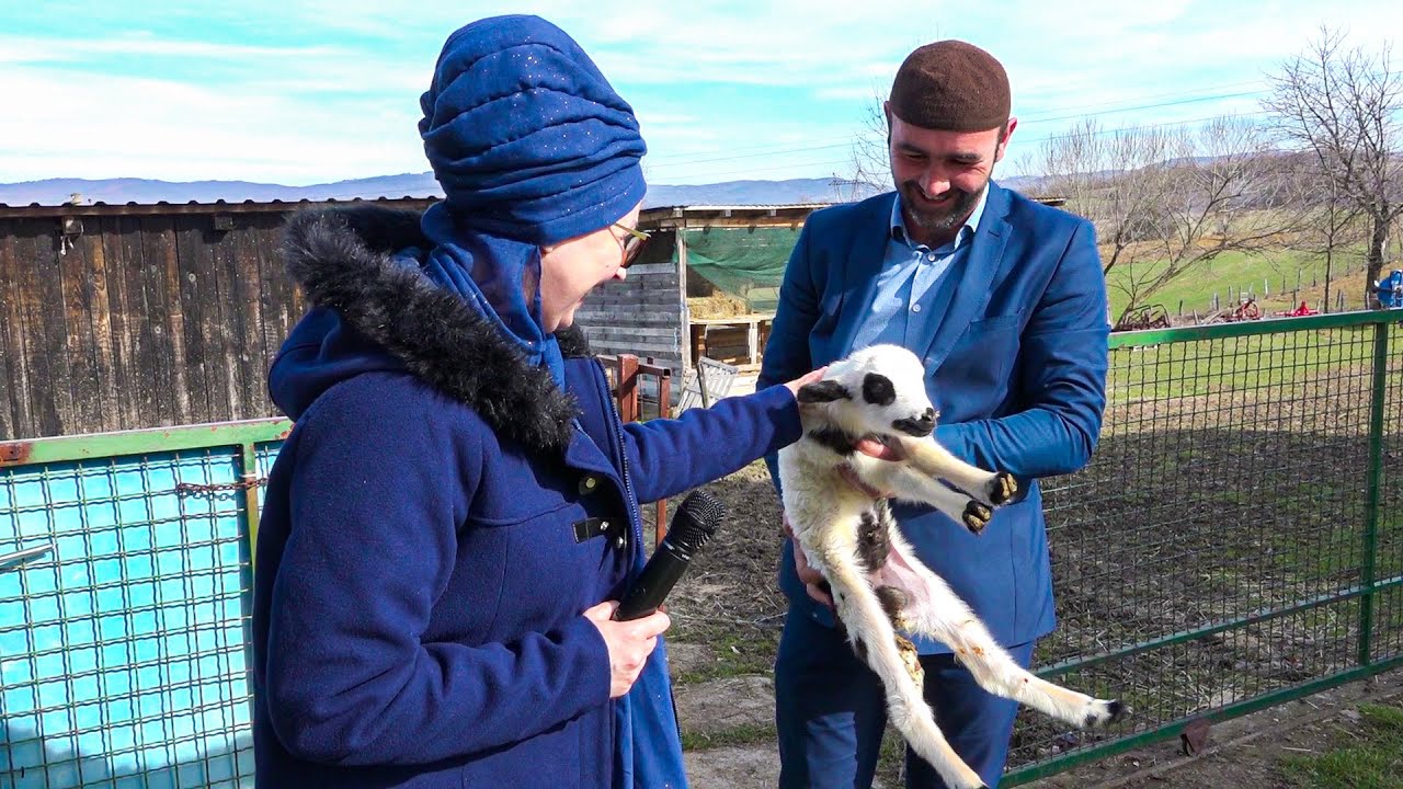 Efendija koji se ne boji isprljati i nažuljati ruke!