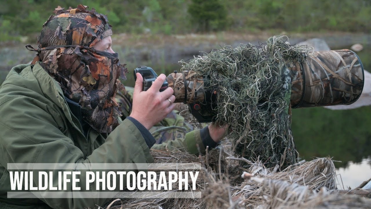 1 ГОД НА ОТКРЫТОМ ВОЗДУХЕ с ФОТОГРАФИЕЙ ДИКОЙ ПРИРОДЫ // Nikon Z8 — фотосъемка бобров в формате 4K