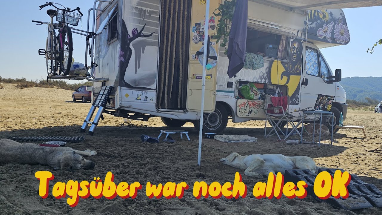 Zwischen Strand, WILDSCHWEINEN und POLIZEI | Vanlife TÜRKEI