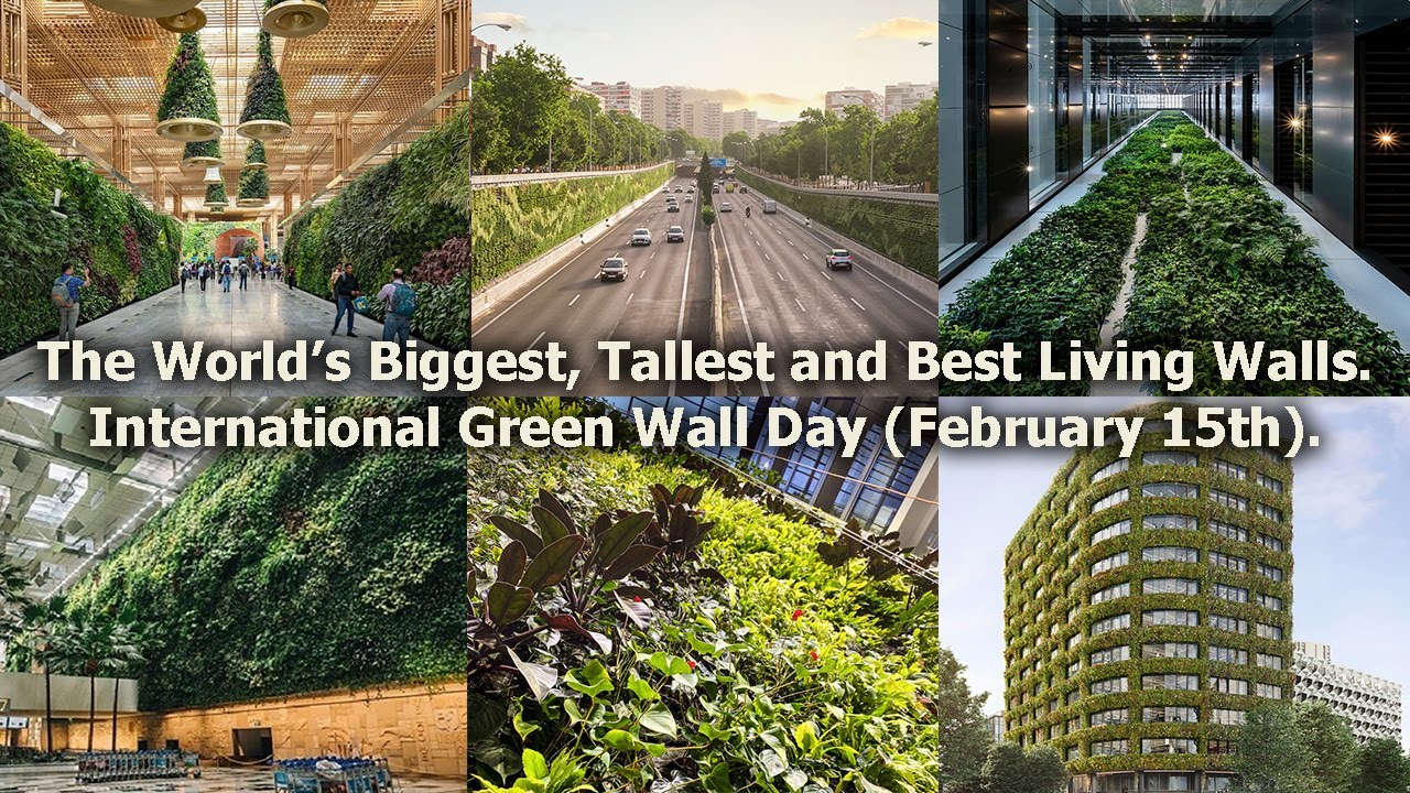 The World’s biggest, tallest and best living walls… For Green Wall Day February 15th.