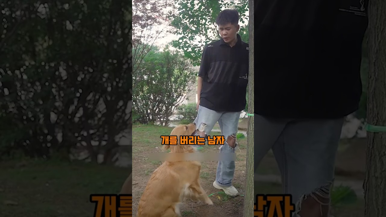 버려진 댕댕이를 데려다 키운 여자의 반전 #유기견 #반려견
