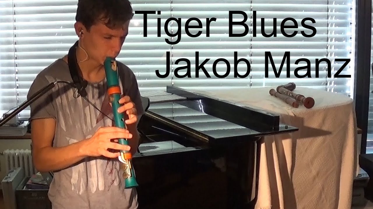 Tiger Blues by Jakob Manz