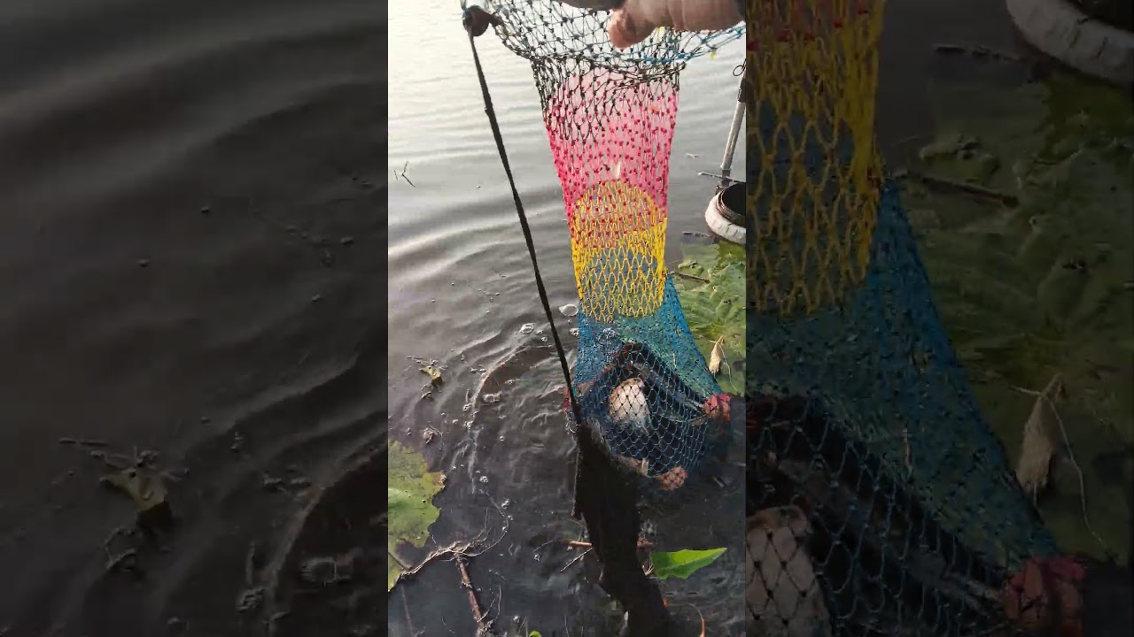Latest Fishing Spot Results Spill #AhmadHaikalMNB