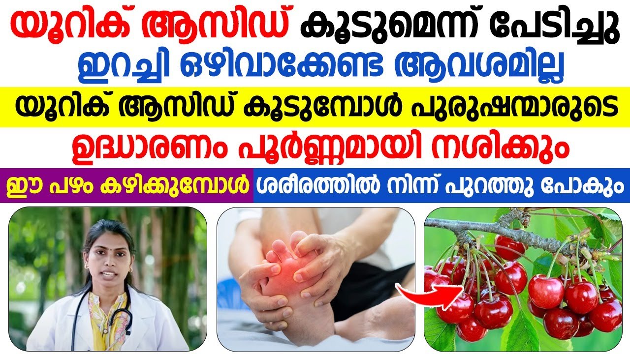 യൂറിക് ആസിഡ് ഈ രീതിയിൽ കുറച്ചെടുക്കാം ഇറച്ചിയൊന്നും ഒഴിവാക്കേണ്ടതില്ല | URIC ACID KURAKKAN