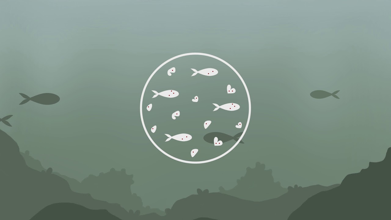 The journey of plastic