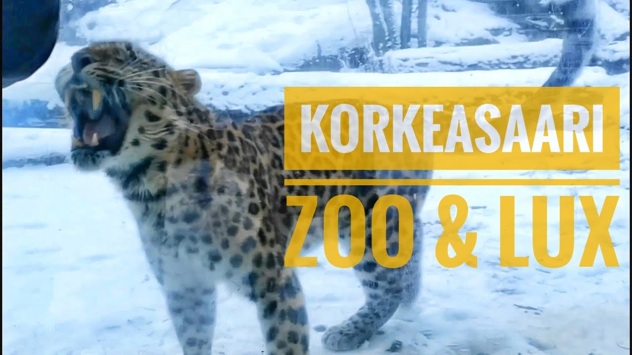 Korkeasaari Zoo & Lux Light Event | Helsinki 🇫🇮