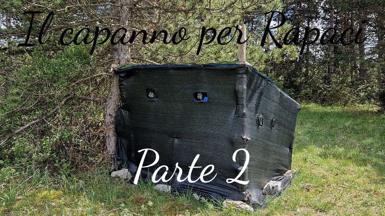 Fotografia Naturalistica - Il capanno per rapaci | Come avvicinare la Poiana | Parte 2\3