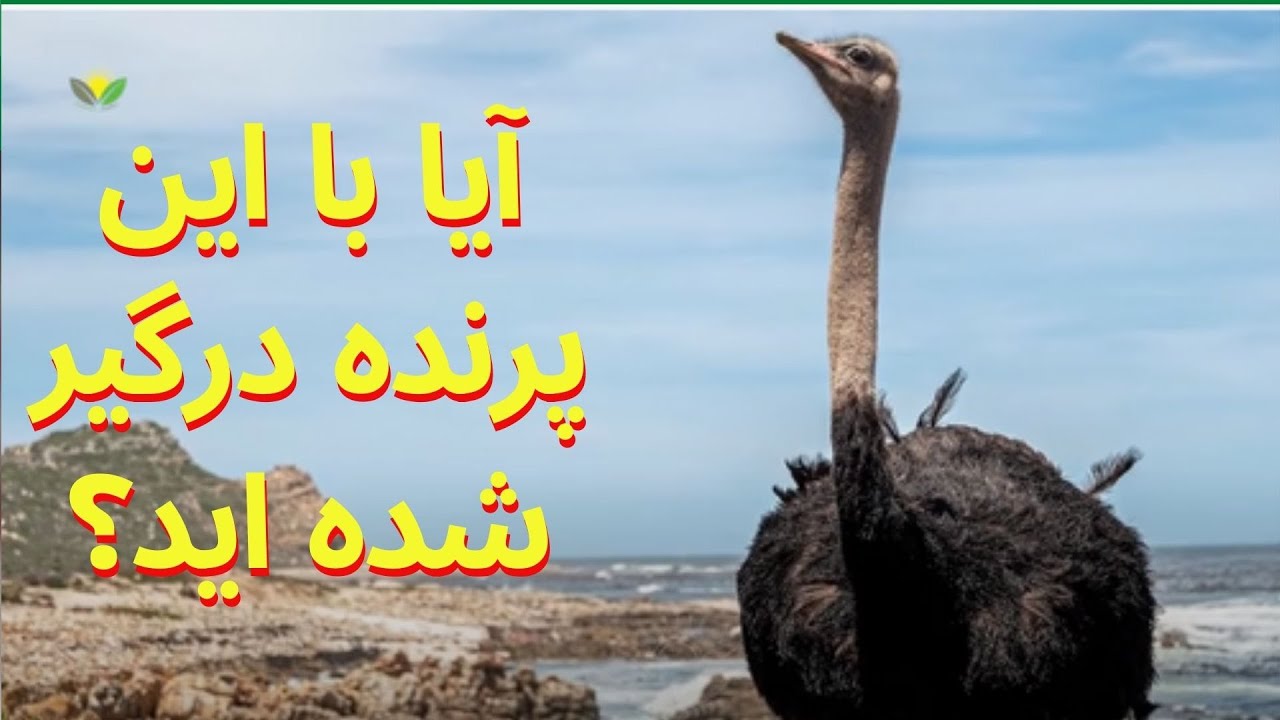 اتفاقات غیرمنتظره که ثبت دوربین شده است!!!