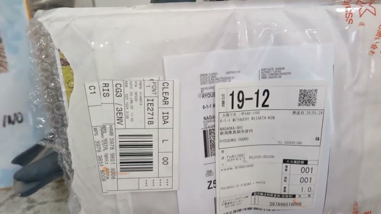 エスポワールロフト　３回目の農林水産大臣賞受賞！！全国最高分速！！絶対王者ジノ氏の鳩が、まもなく入荷致します。ジノ氏の鳩を、数羽、大特価で分譲予定！！