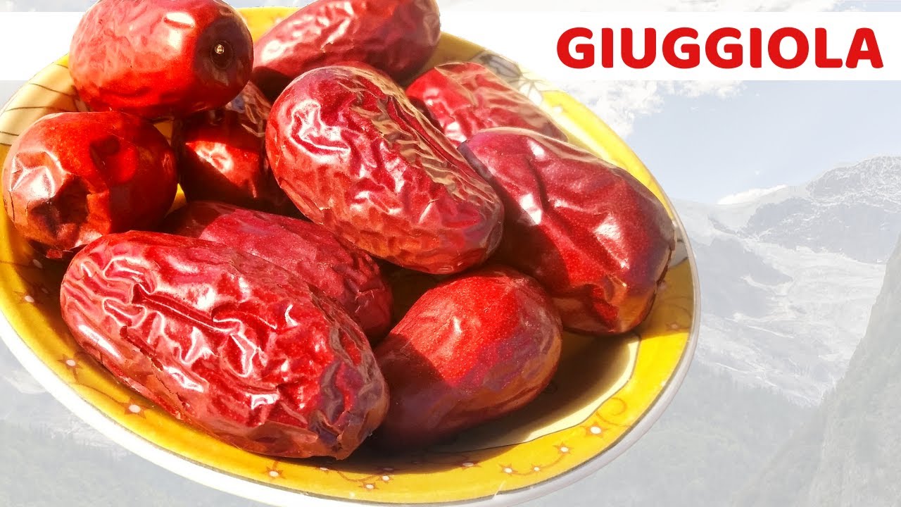 Mangiare 2 giuggiole al giorno fa questo al tuo corpo | Quali sono i vantaggi della giuggiola?