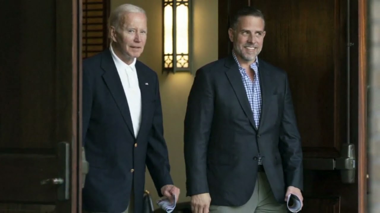 Hunter Biden sold 'illusion of access' to his father, former business partner tells Congress