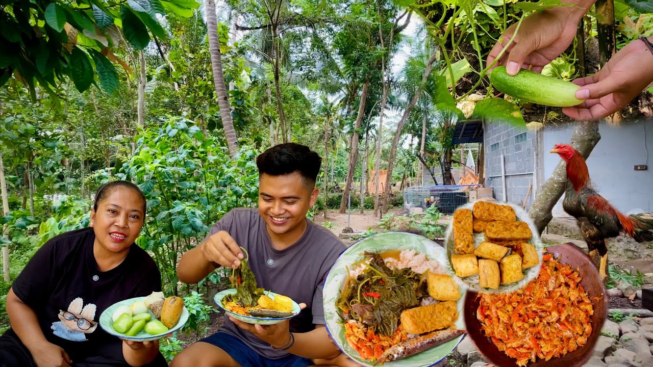 KEHIDUPAN DI DESA MENANAM BERTERNAK MEMASAK SAYURAN HASIL KEBUN SEGER BANGET DULUR..‼️😍