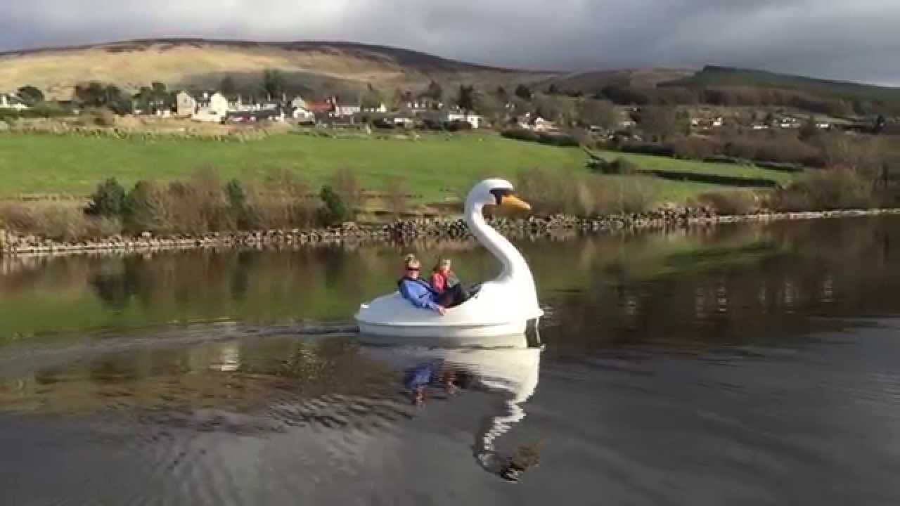 Swan Lake Blessington