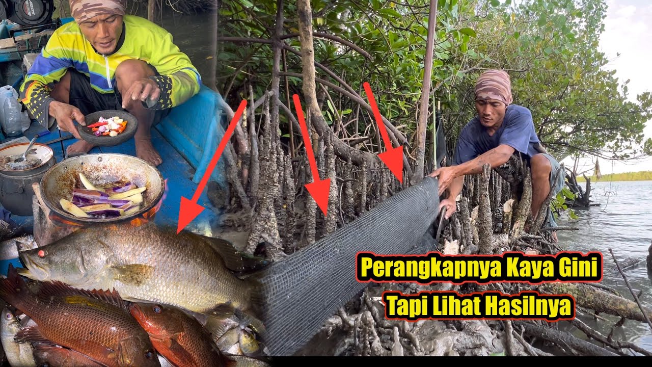 Pasang Perangkap dan Bermalam Dapat Ikan Kakap Besar Langsung Masak Balado Terong dan Udang 