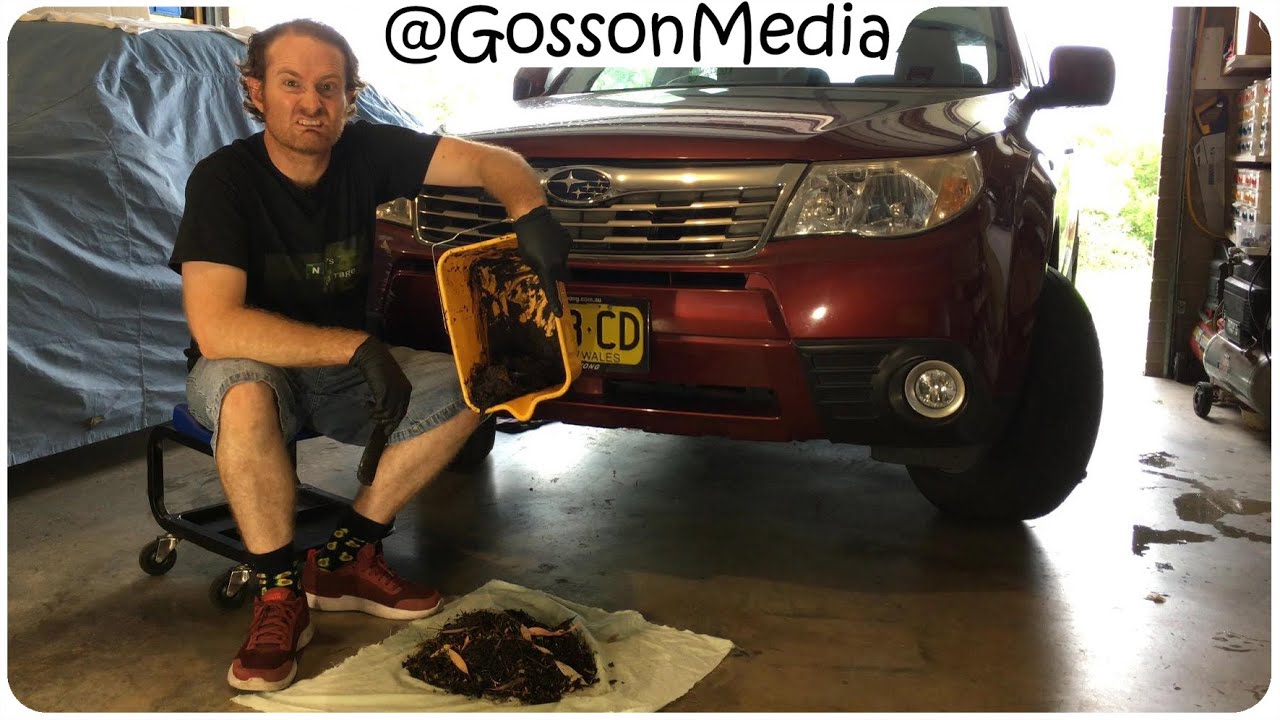НЕ ПАРКОВАЙТЕСЬ ПОД ДЕРЕВЬЯМИ!! Часть 2: Очистка водосточных труб - Subaru Forester