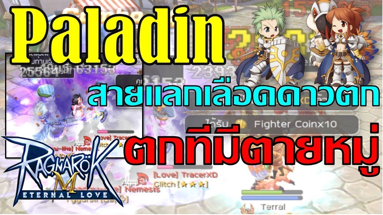 Guide Paladin-สายแลกเลือดดาวตก ตกแรง! ตกรัวๆ! (PVP/WAR) | Ragnarok Mobile : Eternal Love