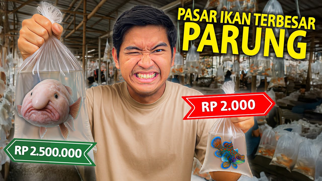 SIDAK HEWAN PALING MURAH DAN PALING MAHAL YANG ADA DI PASAR IKAN TERBESAR DAN TERMURAH PARUNG BOGOR!
