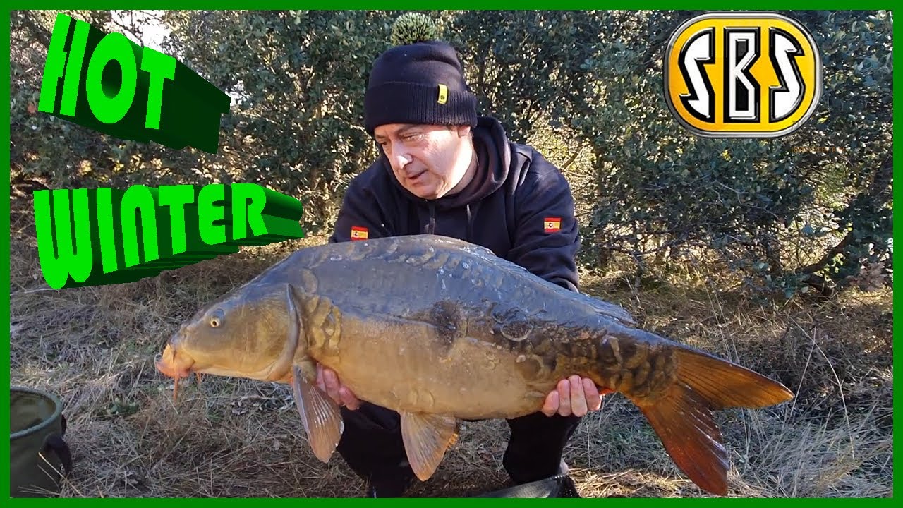CARPFISHING  - HOT WINTER | CARPFISHING | José Rey