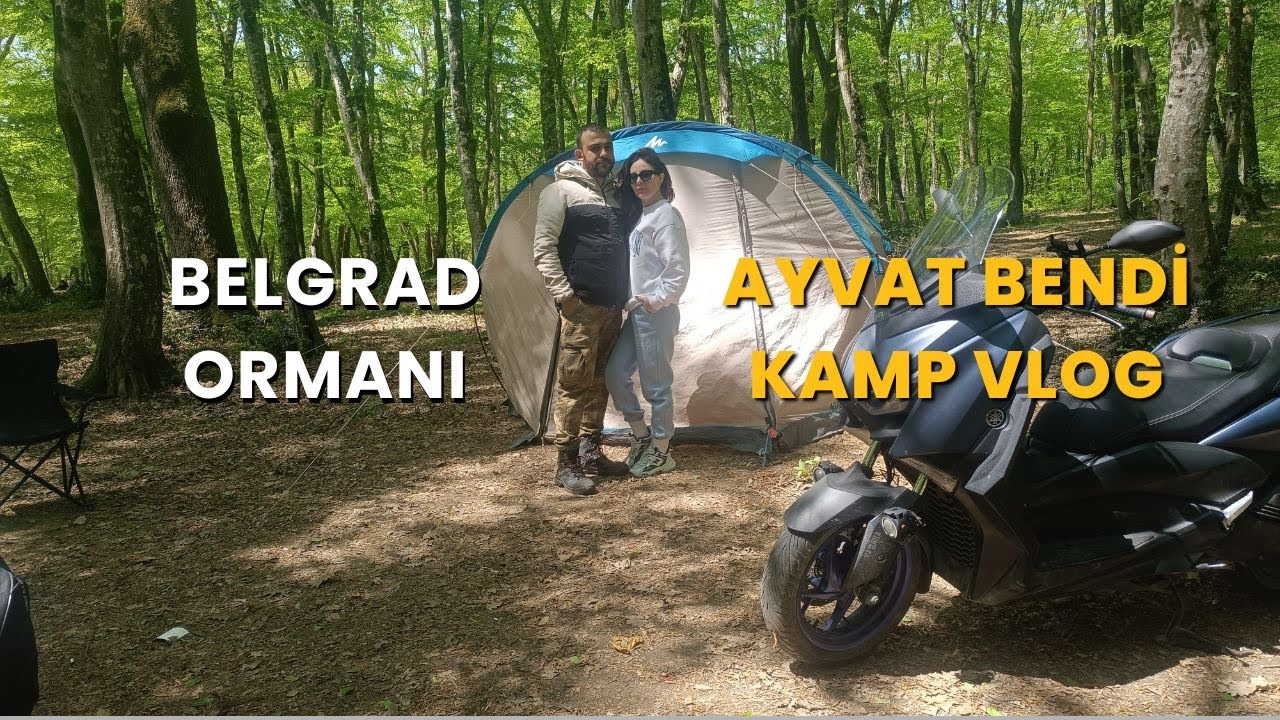 Belgrad Ormanı Kampımızda Böcekler heryerde. Çadırdan çıkamadık.