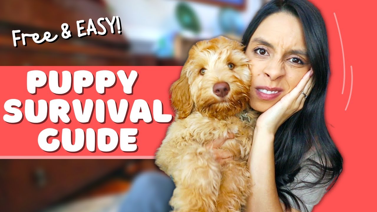 Puppy Struggles?! START HERE! 👉 FREE Puppy training
