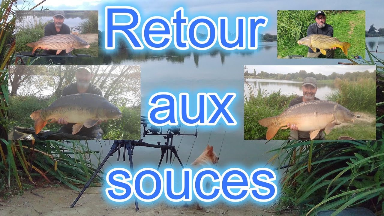 peche de la carpe , retour aux sources