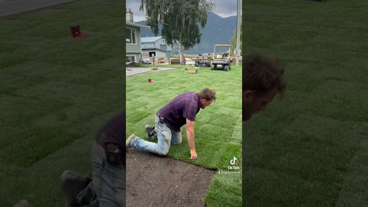 Sod install