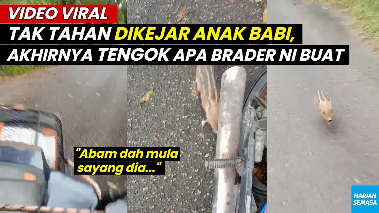 Tak Tahan Dikejar Anak BABl, Akhirnya Tengok Apa Brader Ni Buat.