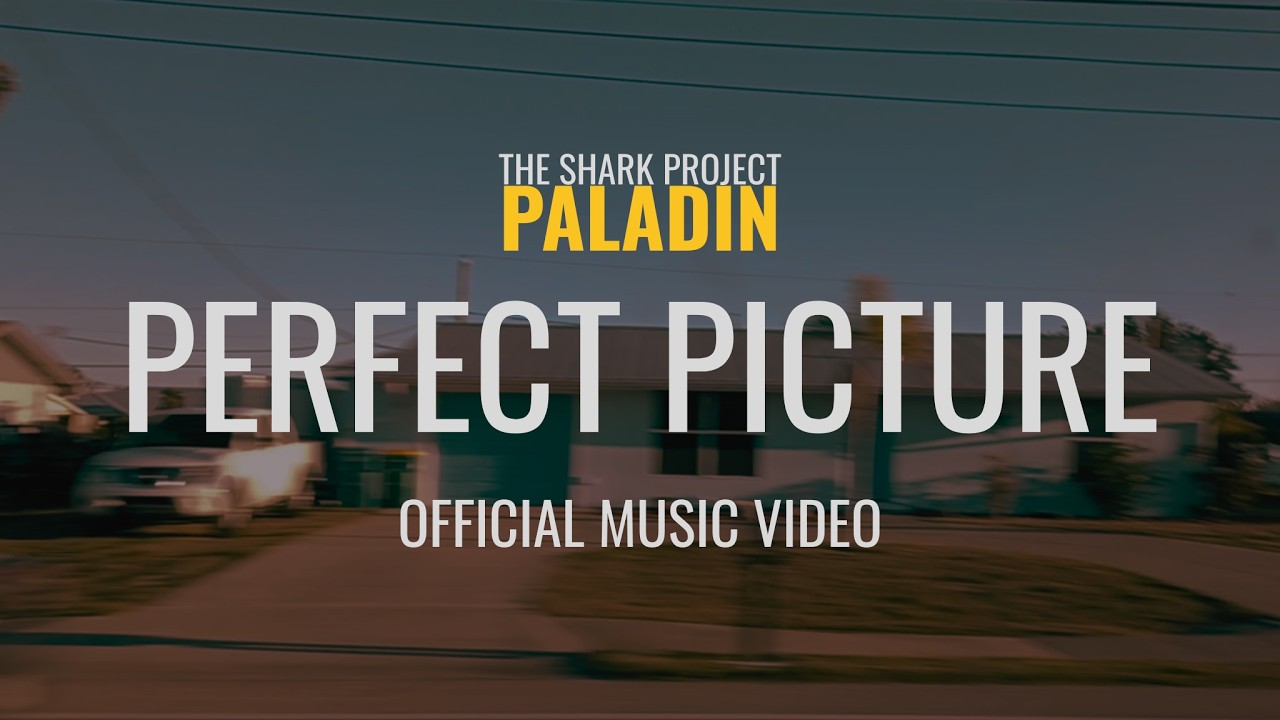 Perfect Picture - Official Video + Lyrics