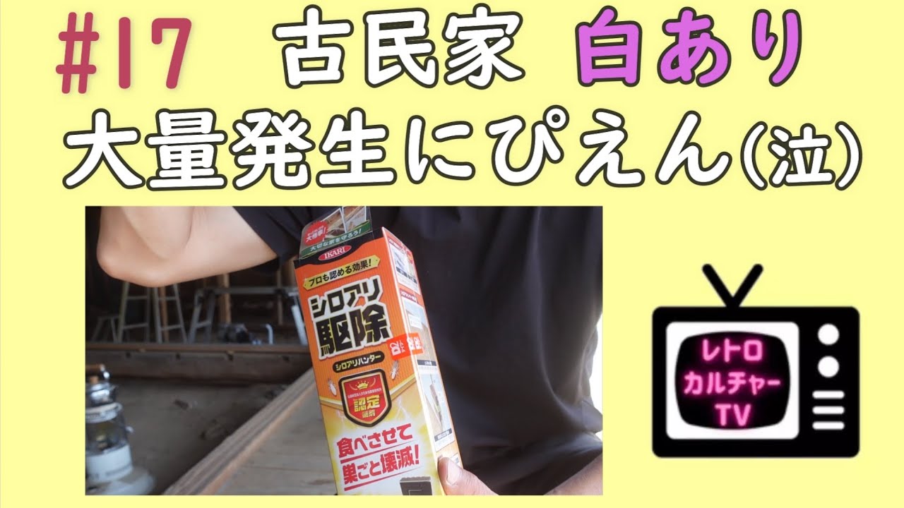 ♯17 古民家【白あり大量発生】ぴえん(泣)diy リフォーム シロアリ田舎暮し