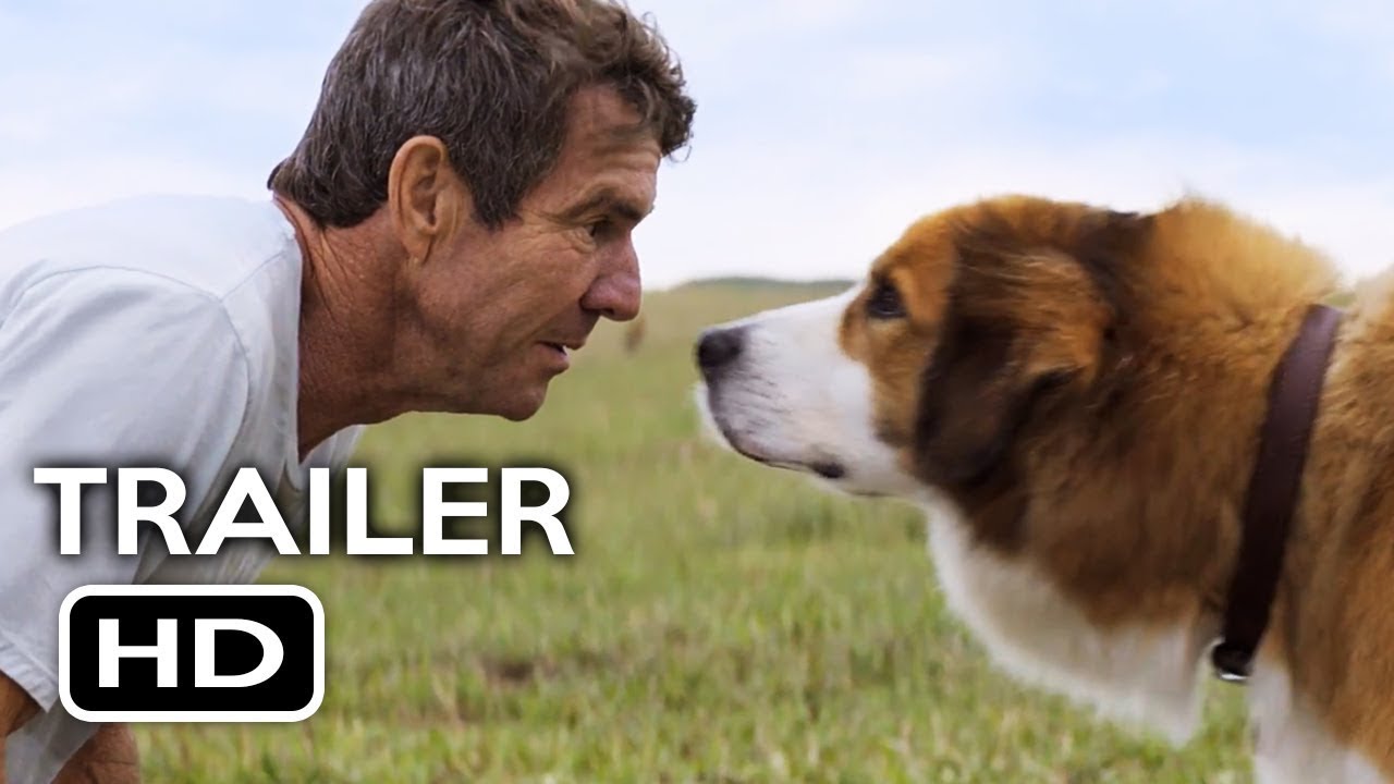 A Dog's Journey Trailer #1 (2019) | FiascoFilms