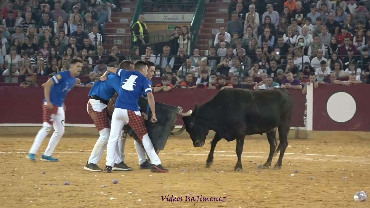 Concurso de roscaderos Zaragoza 11/10/2022 - EJEA DE LOS CABALLEROS 1 - HD