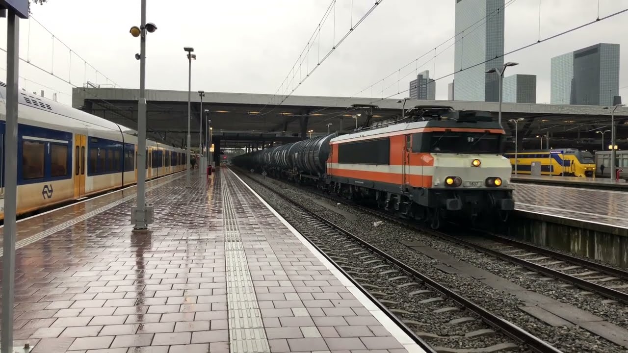 Treinspotten / trainspotting / zugverkehr (cargo / G&uuml;terzuge)| Rotterdam CS - 4K