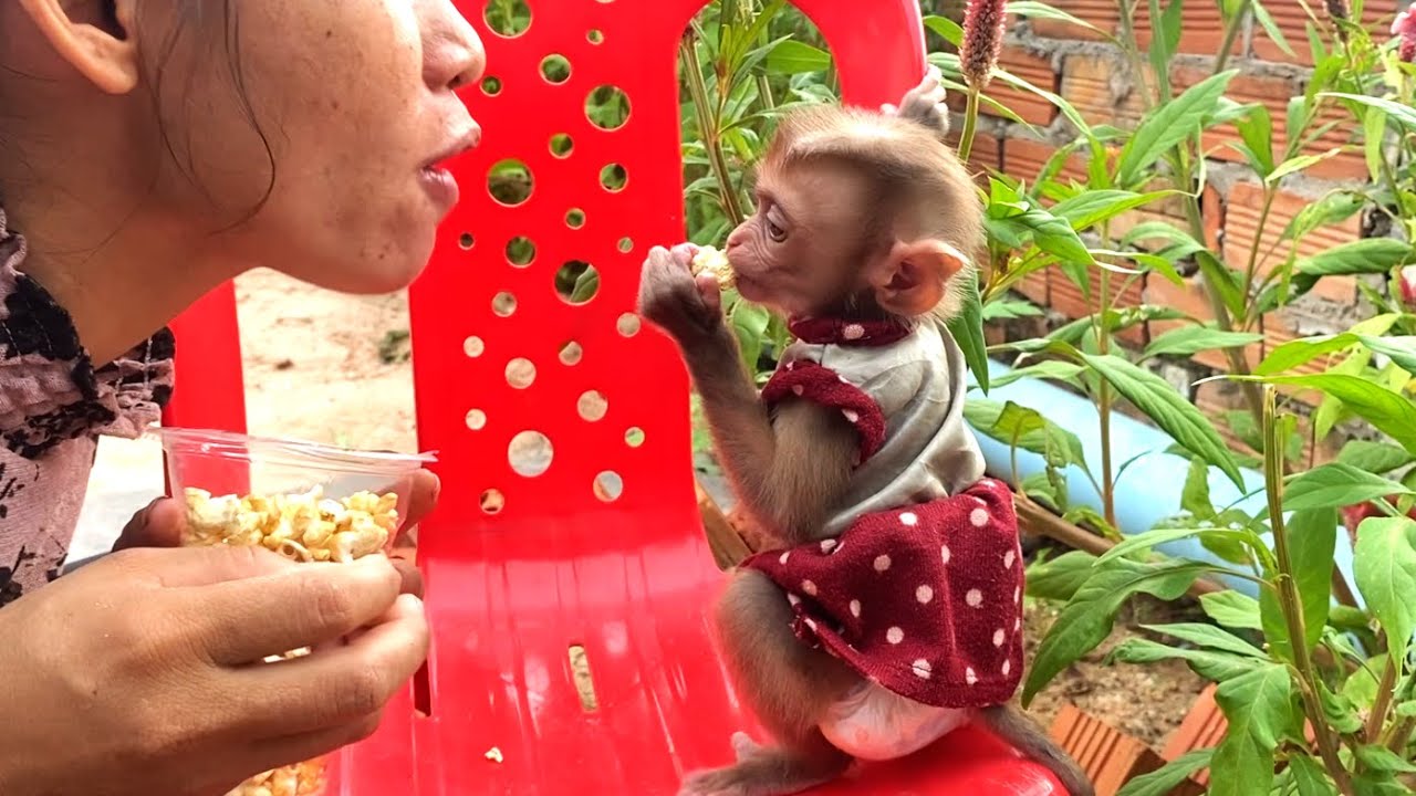 So sweet!! Mom makes her adorable little baby LIORA happy as they eat popcorn in the garden