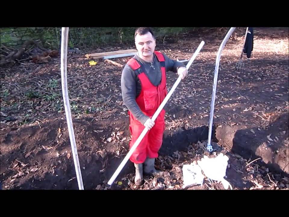 Sheep tunnel video