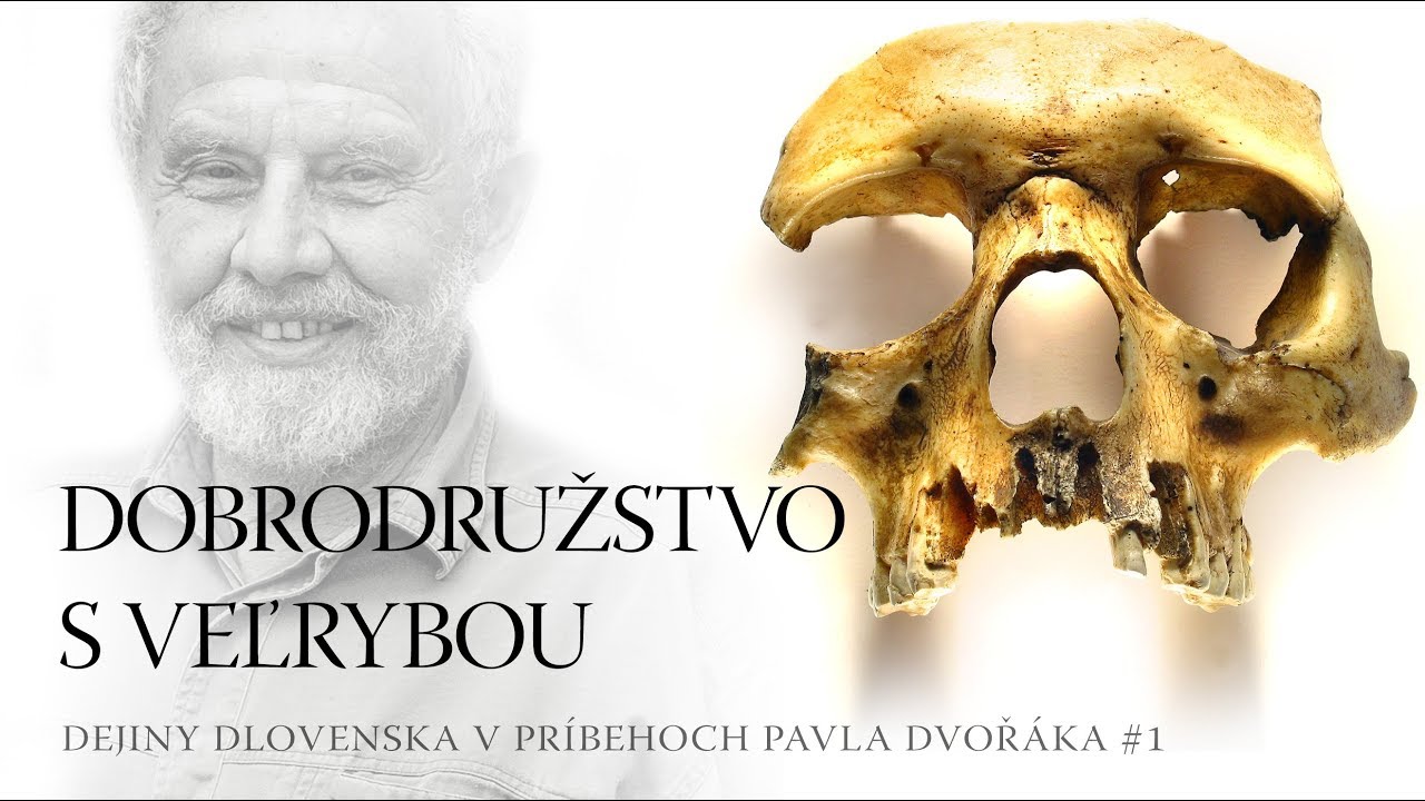 Dobrodružstvo s veľrybou - Dejiny Slovenska v príbehoch Pavla Dvořáka