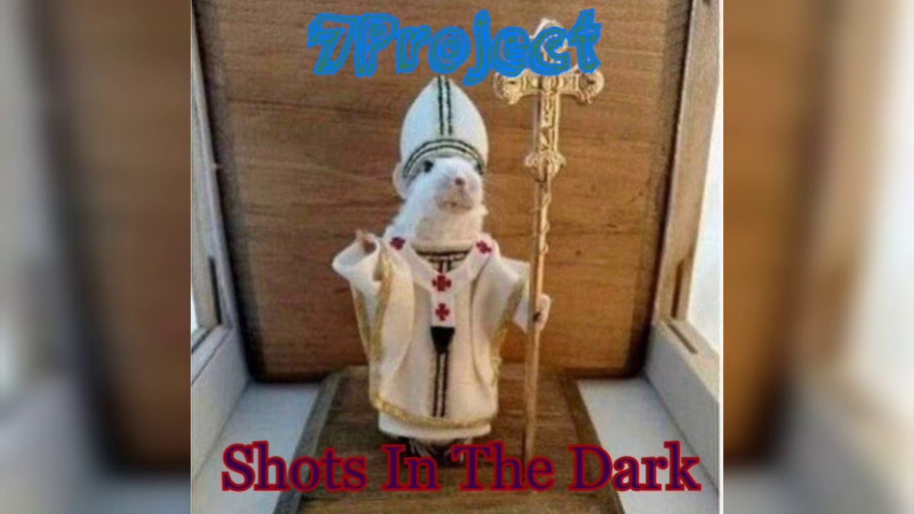7Project - Shots In The Dark