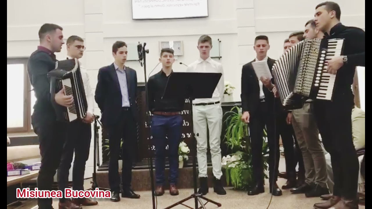 Vin' acasă degrab, tu copil rătăcit - Frații Ursachi si prietenii