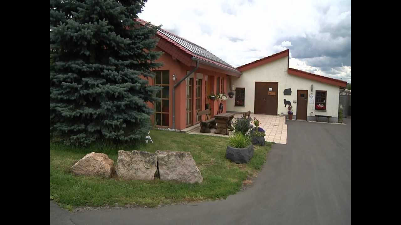 Haus der Hunde mit Ulli Potofski