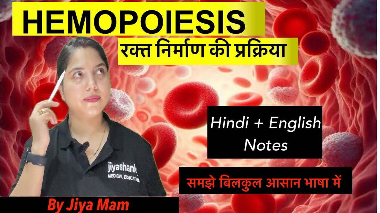 Hemopoiesis | रक्त निर्माण की प्रक्रिया | Hindi+English Content available | Detail explanation | 