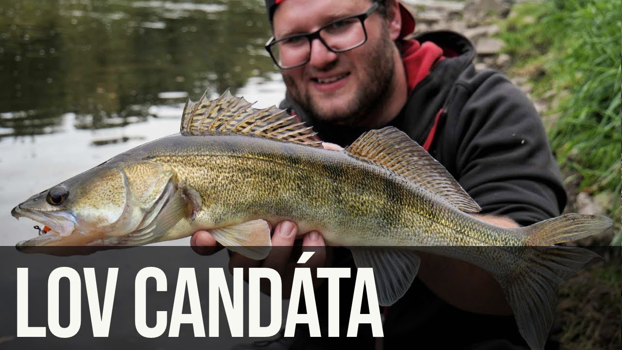 Jak chytit candáta? | S Ondrou Matějkou z @Nastrahycz na podzimní přívlači