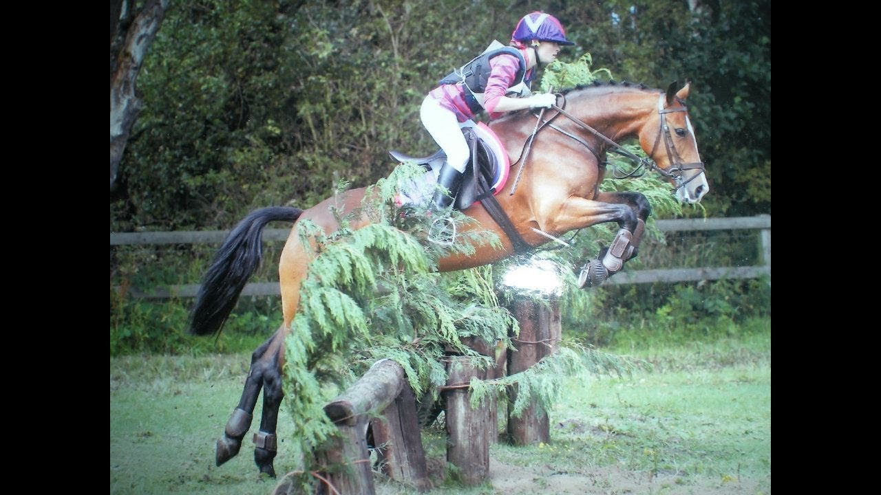 Bess 2011.wmv