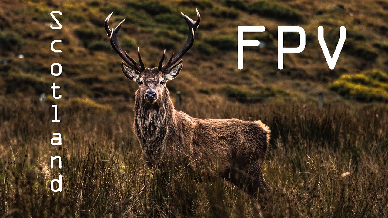Scotland | Cinematic FPV | GoPro Hero 11