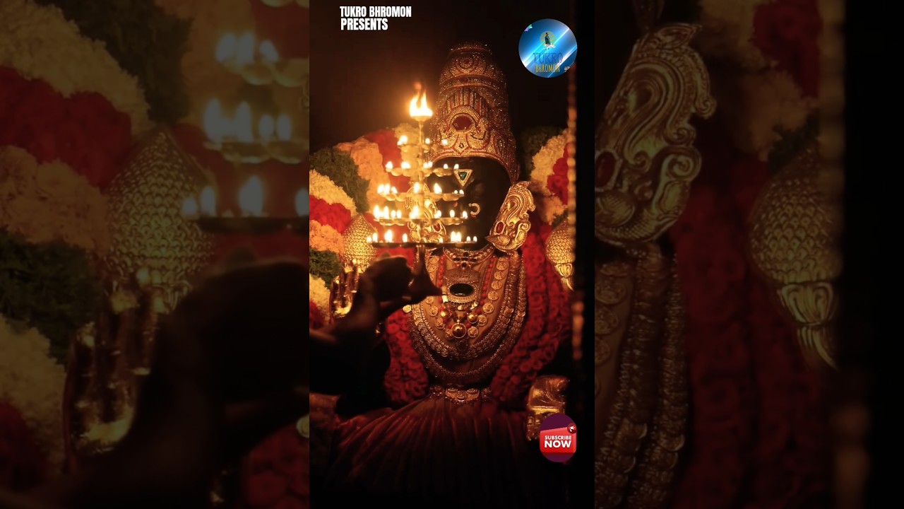 Sri Alarmelmangai Thayar🔱