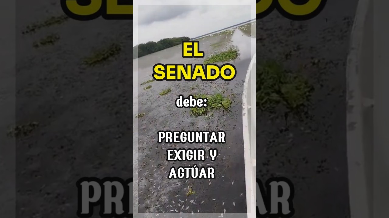 🗳️ El control pol&iacute;tico en el Senado: una herramienta ciudadana que pocos usan