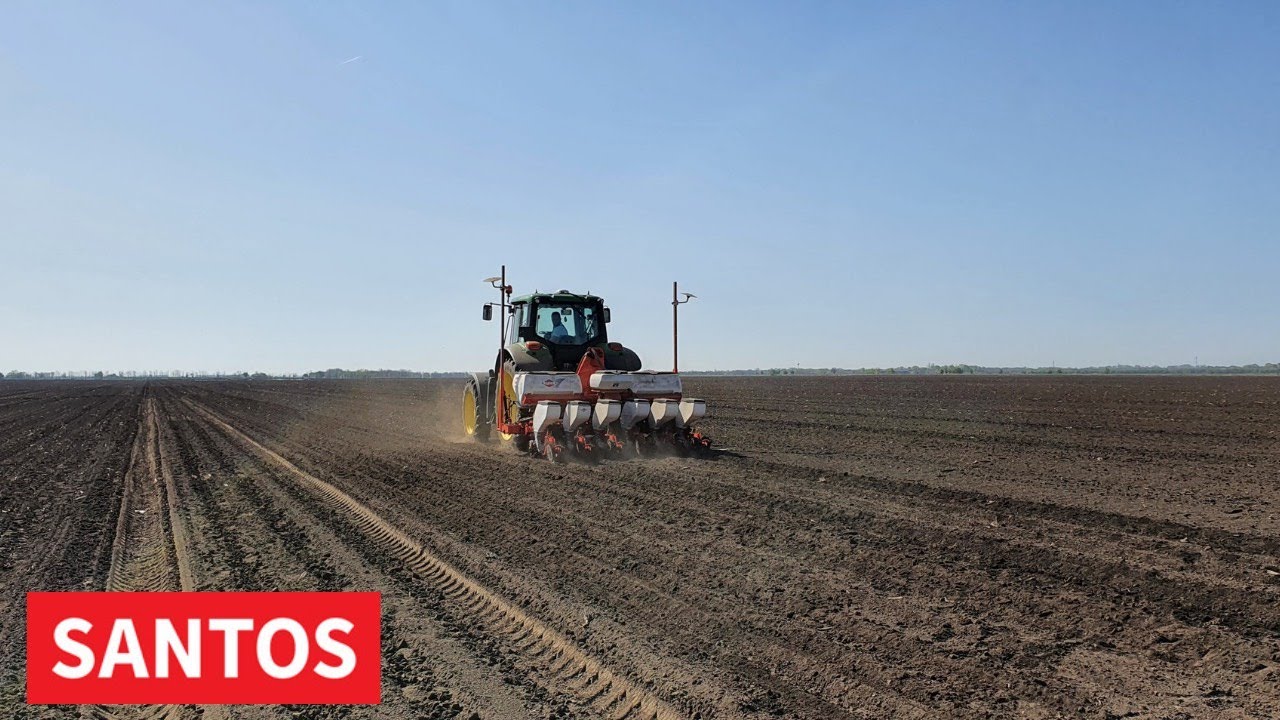 PROIZVODNJA ŠEĆERNE REPE IZUZETNO ZAHTEVNA I ISPLATIVA, ALI JE IMA SVE MANJE