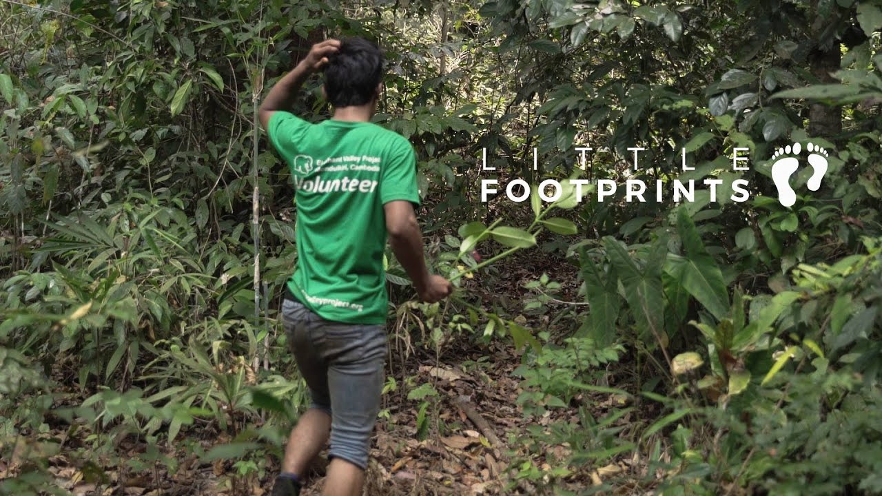 ELEPHANT VALLEY PROJECT CAMBODIA - TEASER (Little Footprints)