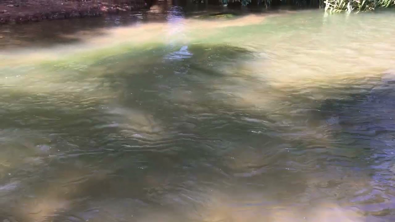 Gregory River Free Camping, Gregory Queensland