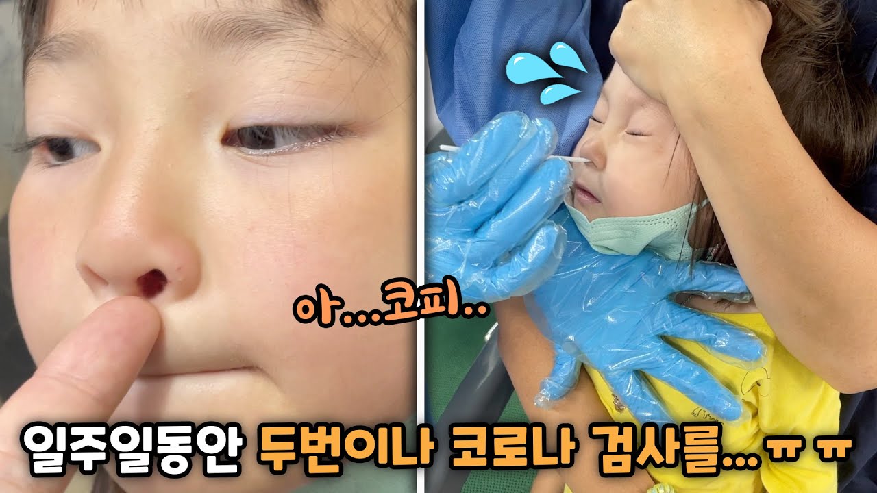 일주일동안 코로나 pcr 검사를 두번이나 한 예콩이와 예설이.. 코피가 ...ㅠㅠ