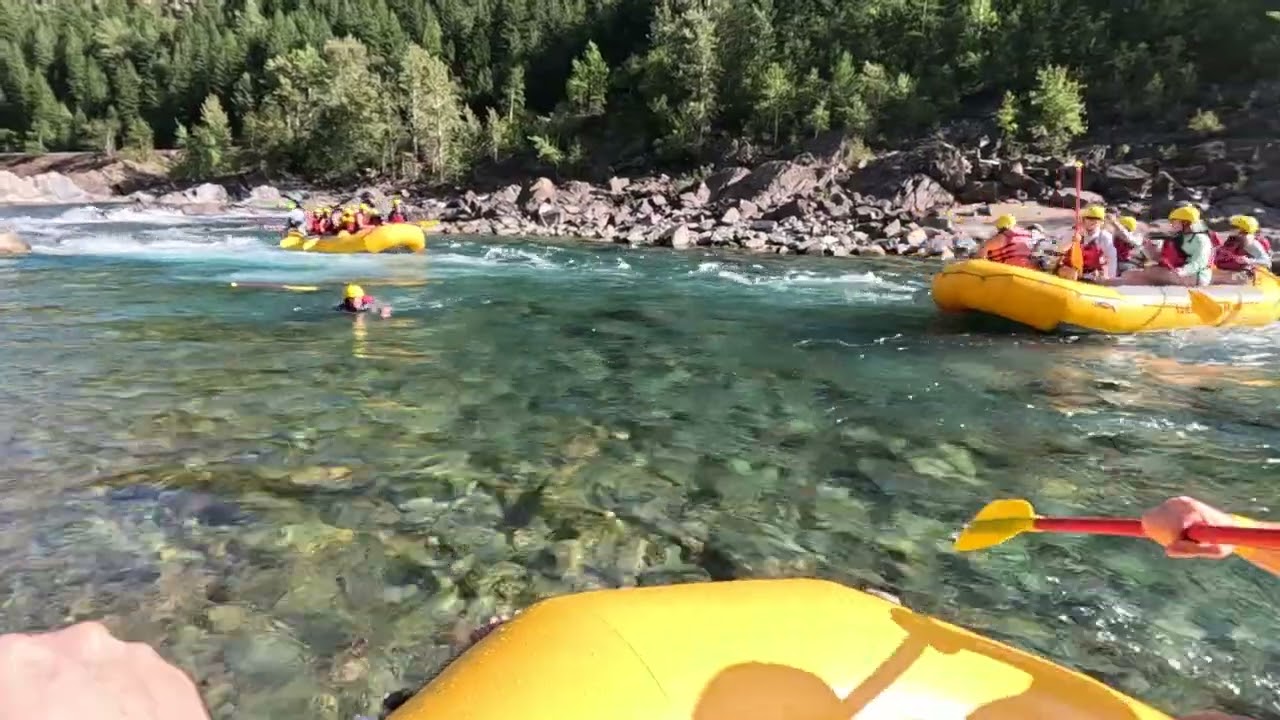 short video of some 