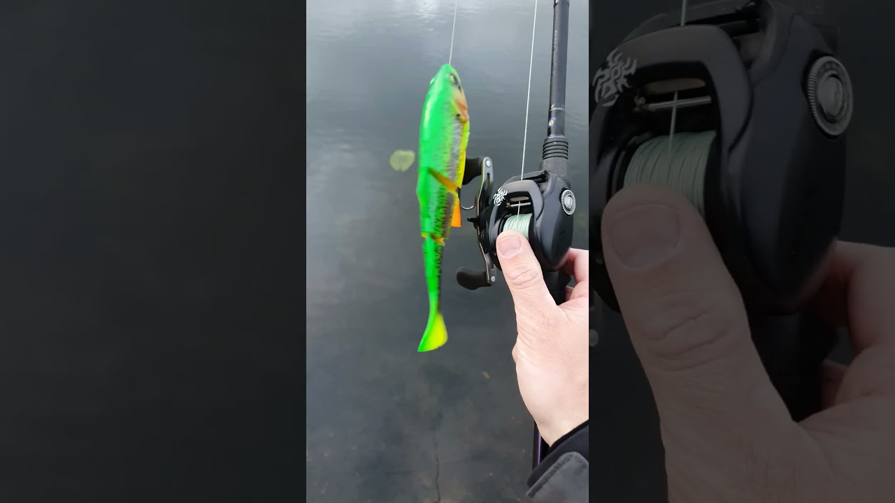 Savage Gear Line thru trout 25cm firetiger 🐊🎣💪 #shorts #savagegear #fishing #pike #predatorfishing